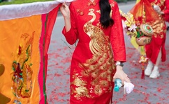 红海棠剧情介绍